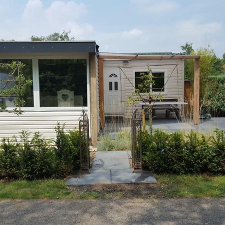 Patrijshof 6 - 8 Personen Baarle-Nassau Exterior foto